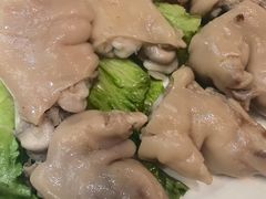 -丁老爷子苏香圆