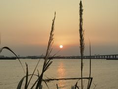 -芒洲湿地公园