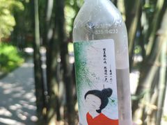 -望江楼公园