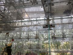 -证大喜玛拉雅中心