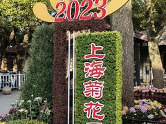 -上海共青森林公园