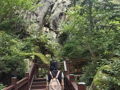 -汤旺河林海奇石景区