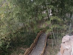 -沧浪亭