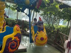 -南宫五洲植物乐园