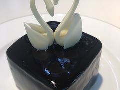 -BLACKSWAN黑天鹅(环球店)