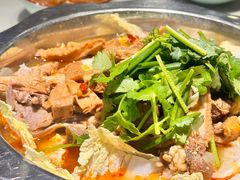 -古乐牛香·鲜牛肉牛杂火锅(千灯店)