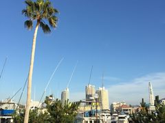 -黑潮市场