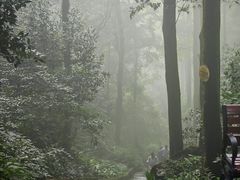 -缙云山景区