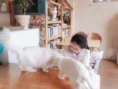 -小时光咖啡馆(开森度假森林店)