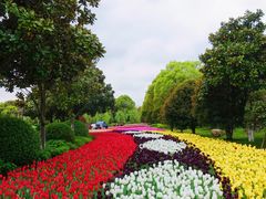 -上海鲜花港