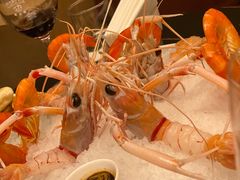 -斯普汇生蚝牛排馆(中骏世界城店)