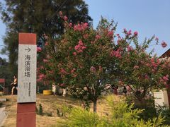 -南麂列岛