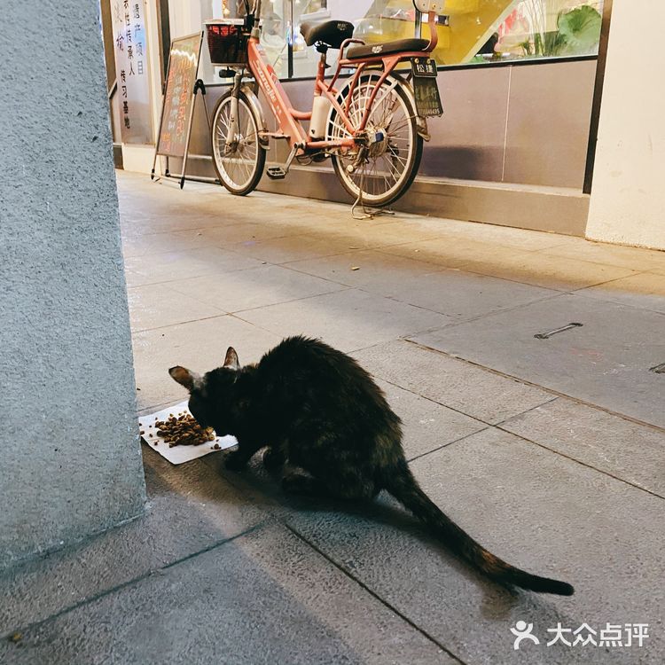 他说这里老房子多，意味着也多