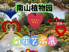 -南山植物园