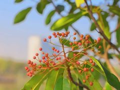 -云幽谷旅游区