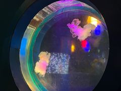 -太平洋海底世界