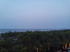 -天隆酒店·本地海鲜鲁菜(烟台大学店)