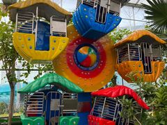 -南宫五洲植物乐园