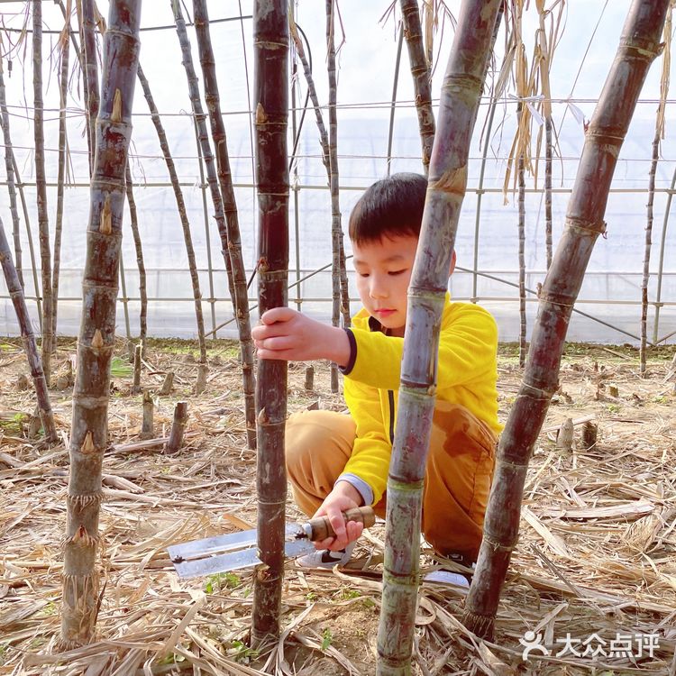 体验农家生活日常·龙余农场🐔🦆🥚🐟🥬