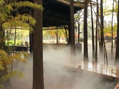 -东湖落雁景区