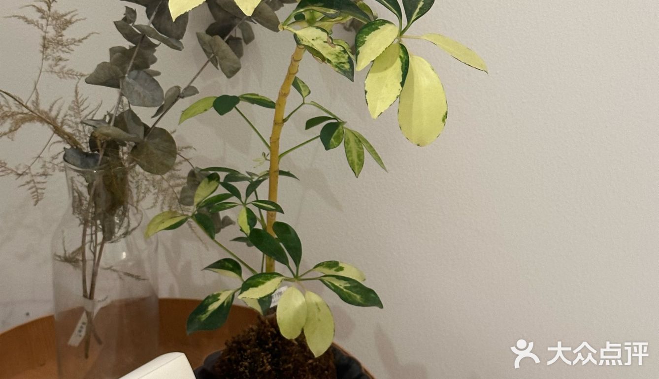 慢享生活每一刻