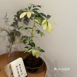 慢享生活每一刻