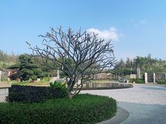 -海南棋子湾开元度假村·祺咖啡自助餐厅