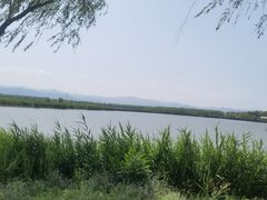 -野鸭湖国家湿地公园