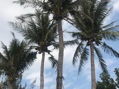 -白沙湾海滩
