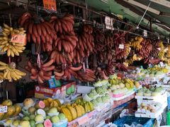 -南沙十九涌渔人码头-南门