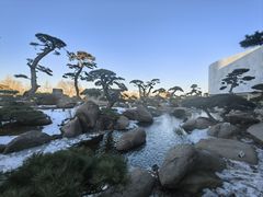 -罗红摄影艺术馆