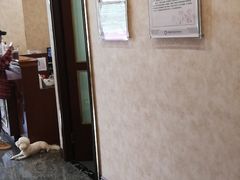 -宠爱国际动物医院· 猫科· 外科·中兽医(长白店)