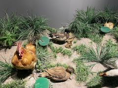 -武汉园博园(武汉自然博物馆)