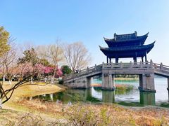 -尚湖风景区
