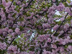 -合和大唐足道·泰式·SPA (凤城五路店)