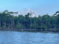 -东寨港红树林旅游区