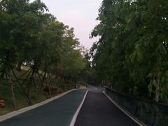 -飞凤山奥体公园
