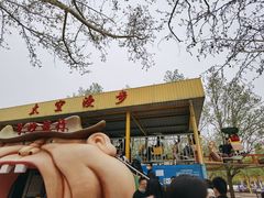 -朝阳公园游乐园