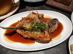 -大树餐厅(红旗街万达店)