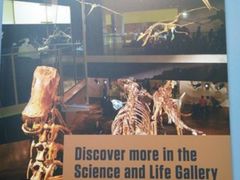 -墨尔本博物馆(Melbourne Museum)