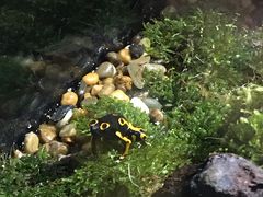 -暹罗海洋世界
