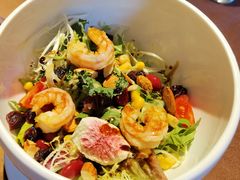 芝麻菜黑醋甜虾沙拉-卡本妮法餐厅·北京和平宾馆