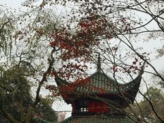 -万泊酒店(长沙五一广场国金中心店)