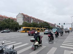 -上海醉白池公园