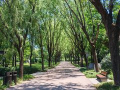 -唐城墙遗址公园