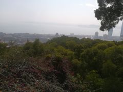 -鼓浪屿内厝澳码头(轮渡站)