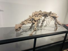 -大连自然博物馆