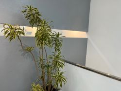 -I+造型烫发染发