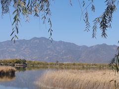 -野鸭湖国家湿地公园