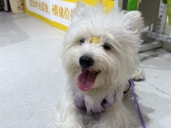 -绿茶餐厅(滨海万达广场店)